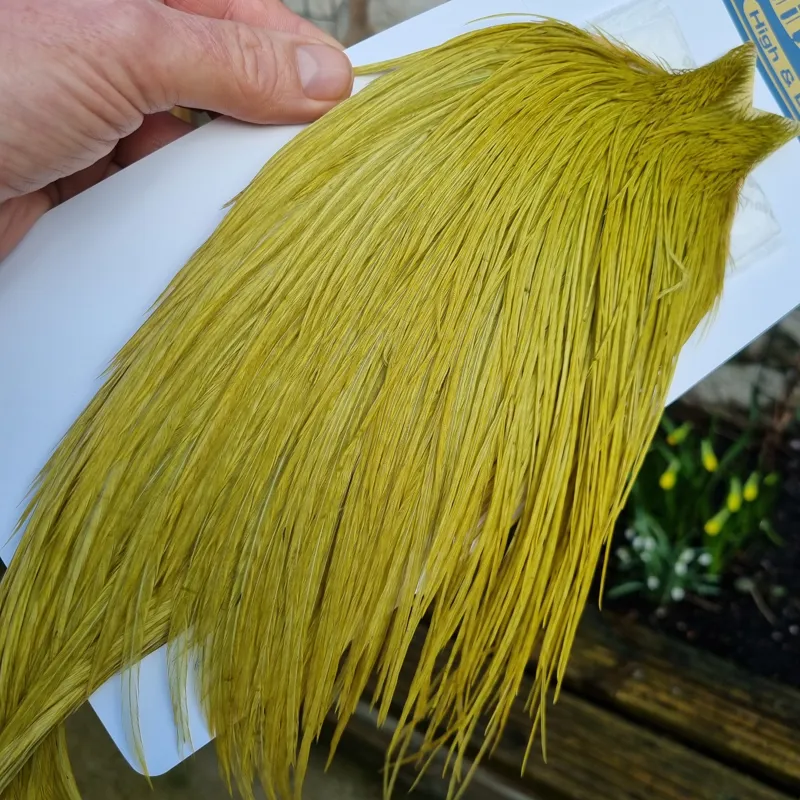 Whiting High and Dry Rooster Cape in Golden Olive-3